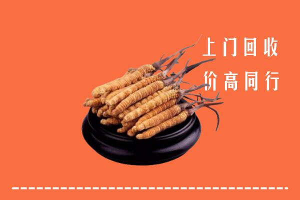 附近收购：枣阳市冬虫夏草回收多少钱每克
