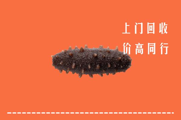 枣阳市回收海参