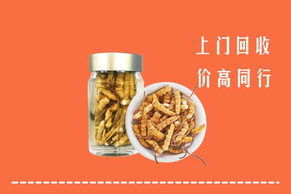 枣阳市回收冬虫夏草